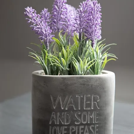 Urban 7 부쿠레슈티