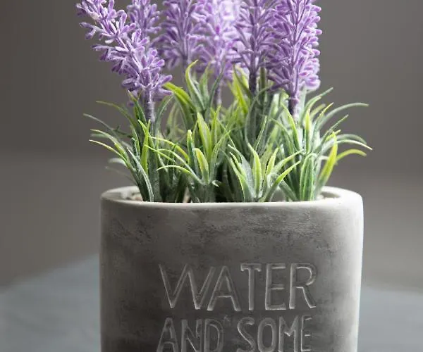 Urban 7 布加勒斯特